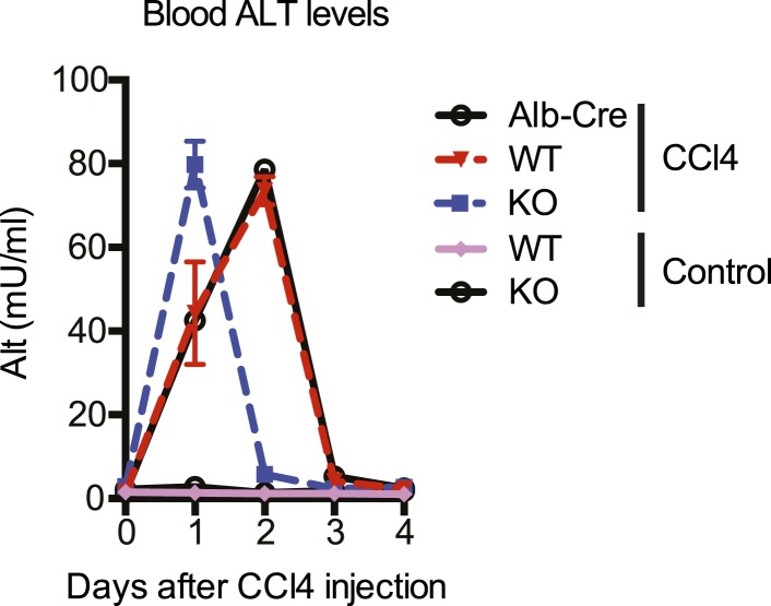 Figure 4—figure supplement 3.