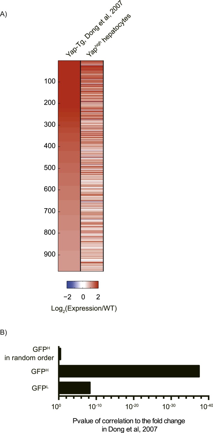 Figure 2—figure supplement 3.