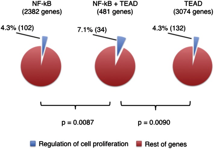 Figure 5—figure supplement 2.