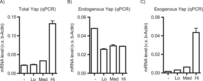 Figure 1—figure supplement 4.