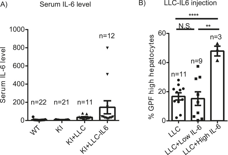 Figure 5—figure supplement 1.