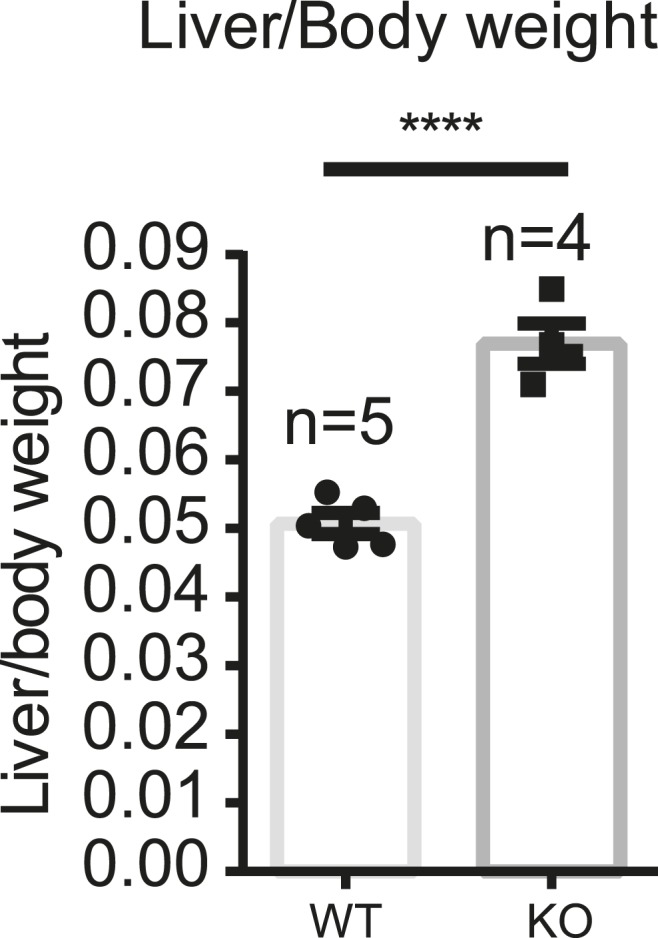 Figure 4—figure supplement 4.