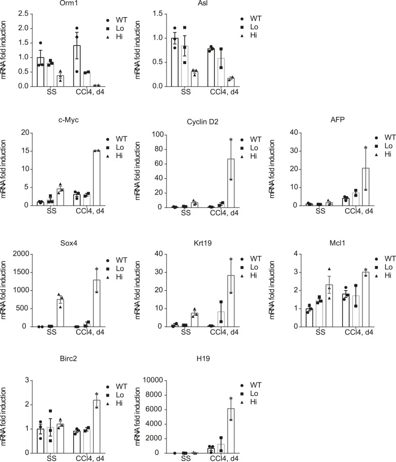 Figure 6—figure supplement 1.