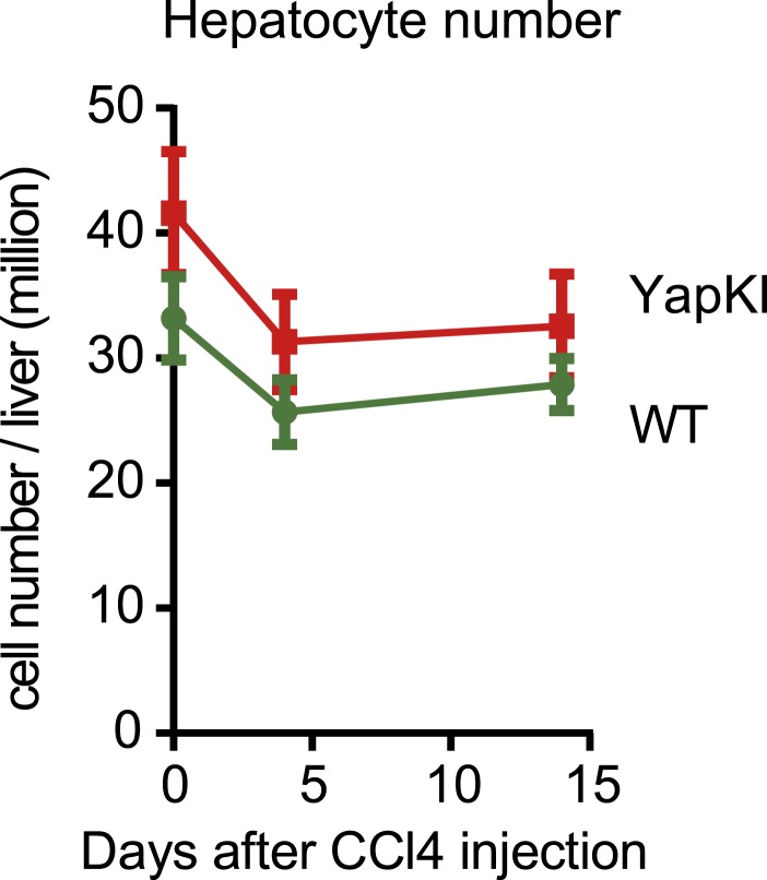 Figure 3—figure supplement 3.