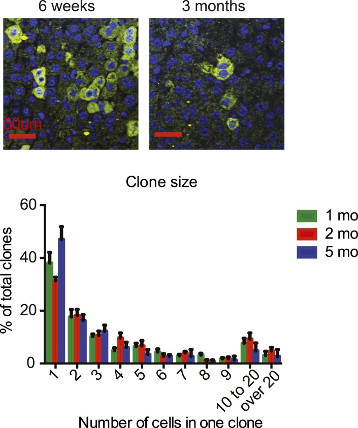 Figure 2—figure supplement 1.