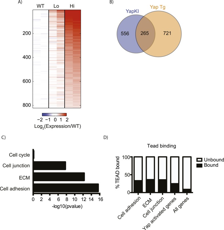 Figure 2—figure supplement 2.