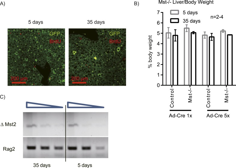 Figure 2—figure supplement 4.