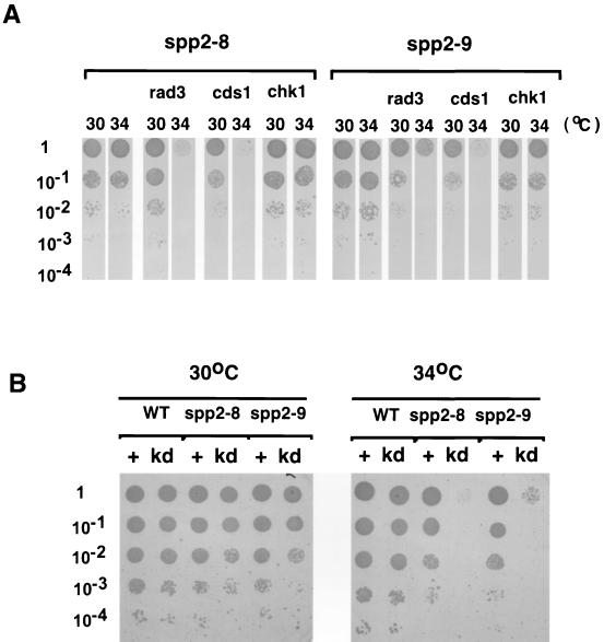 FIG. 5