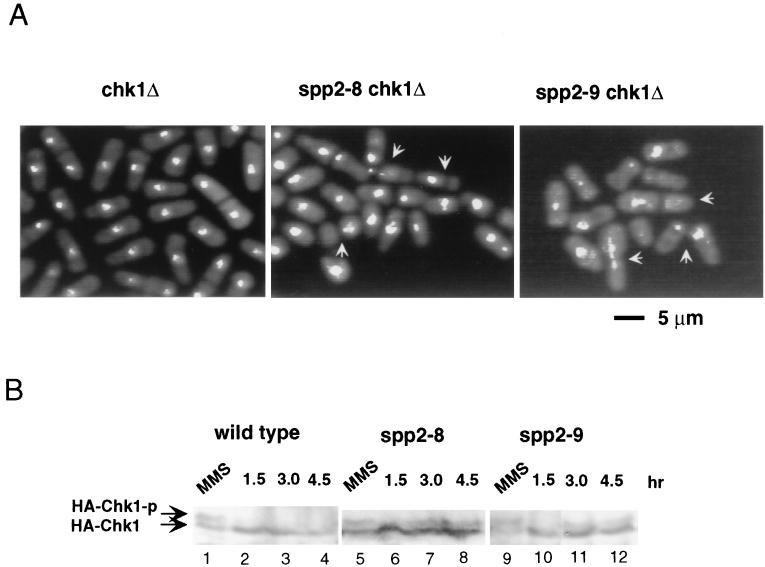 FIG. 6