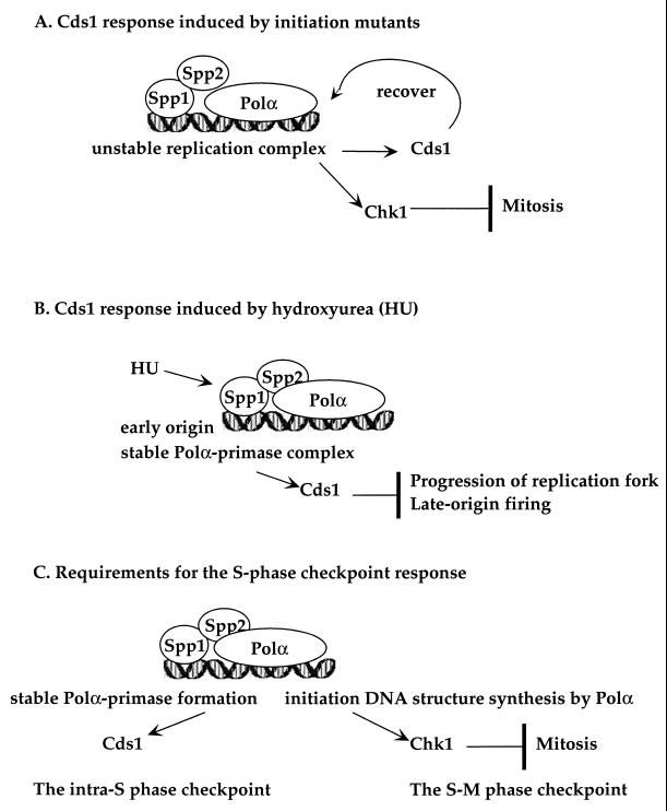 FIG. 9