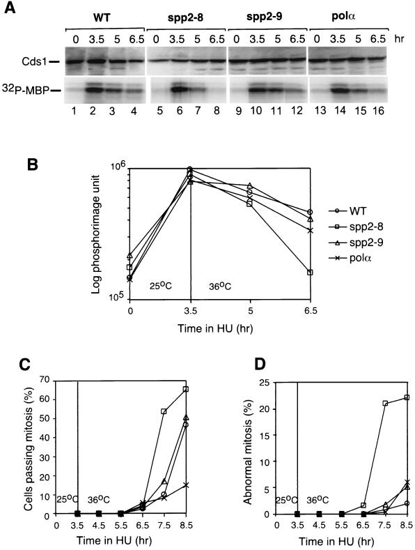 FIG. 8