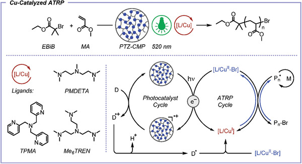 Figure 21