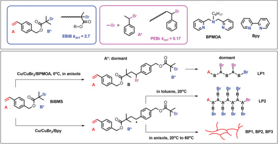 Figure 19