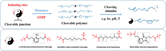 Figure 23