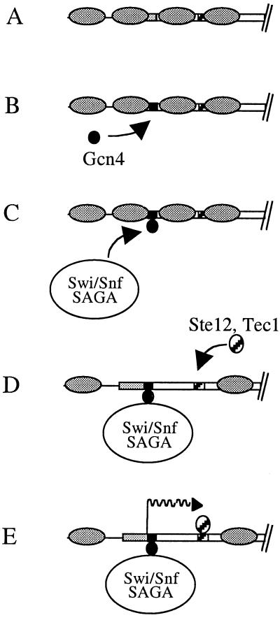 FIG. 7.