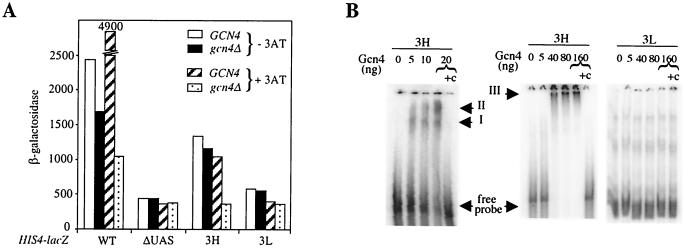 FIG. 6.