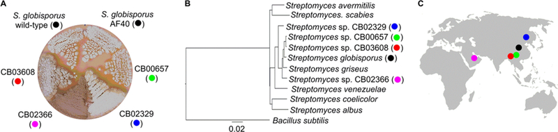 Figure 2.