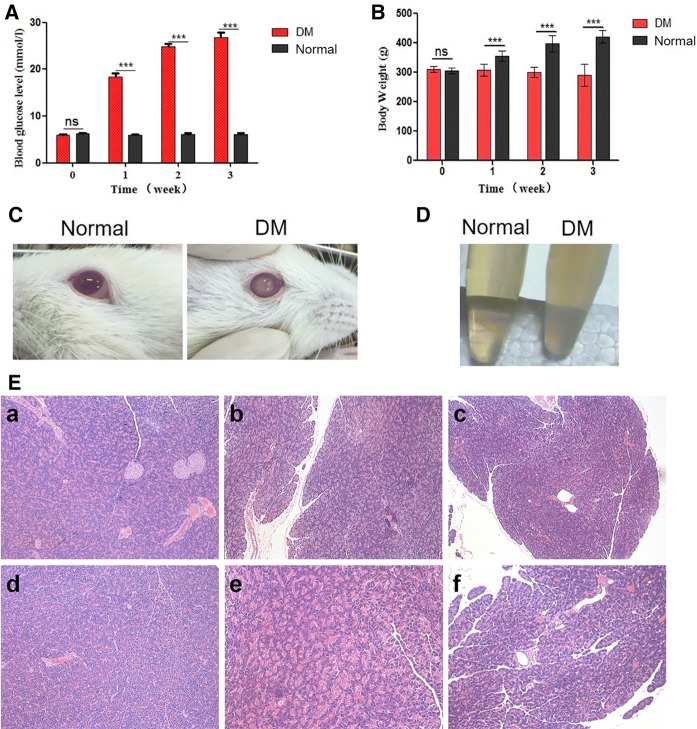 Fig. 3