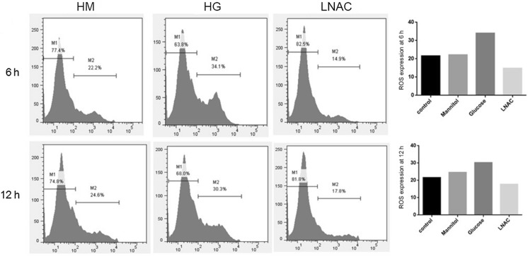 Fig. 2