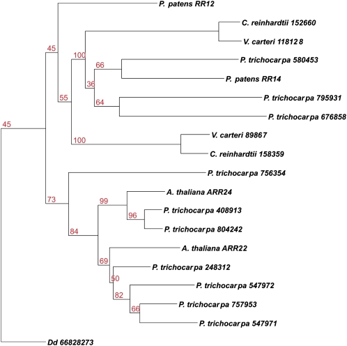 Figure 6.