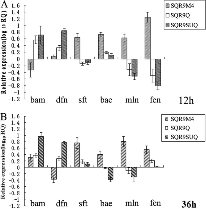 FIG 4