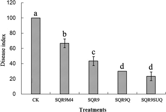 FIG 6