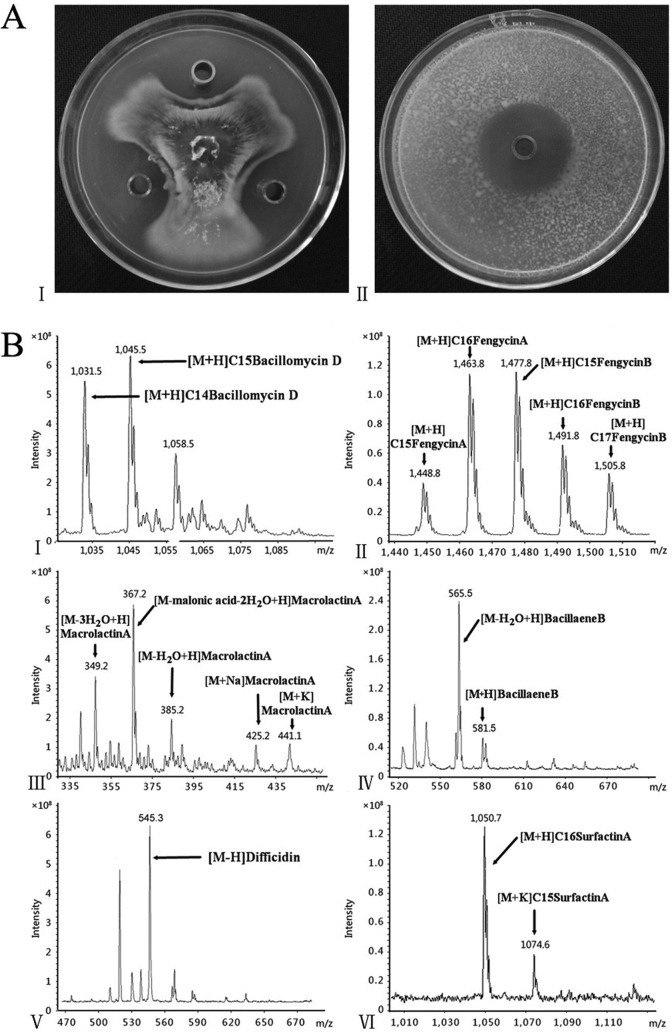 FIG 3