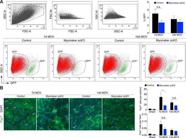 Figure 2—figure supplement 2.