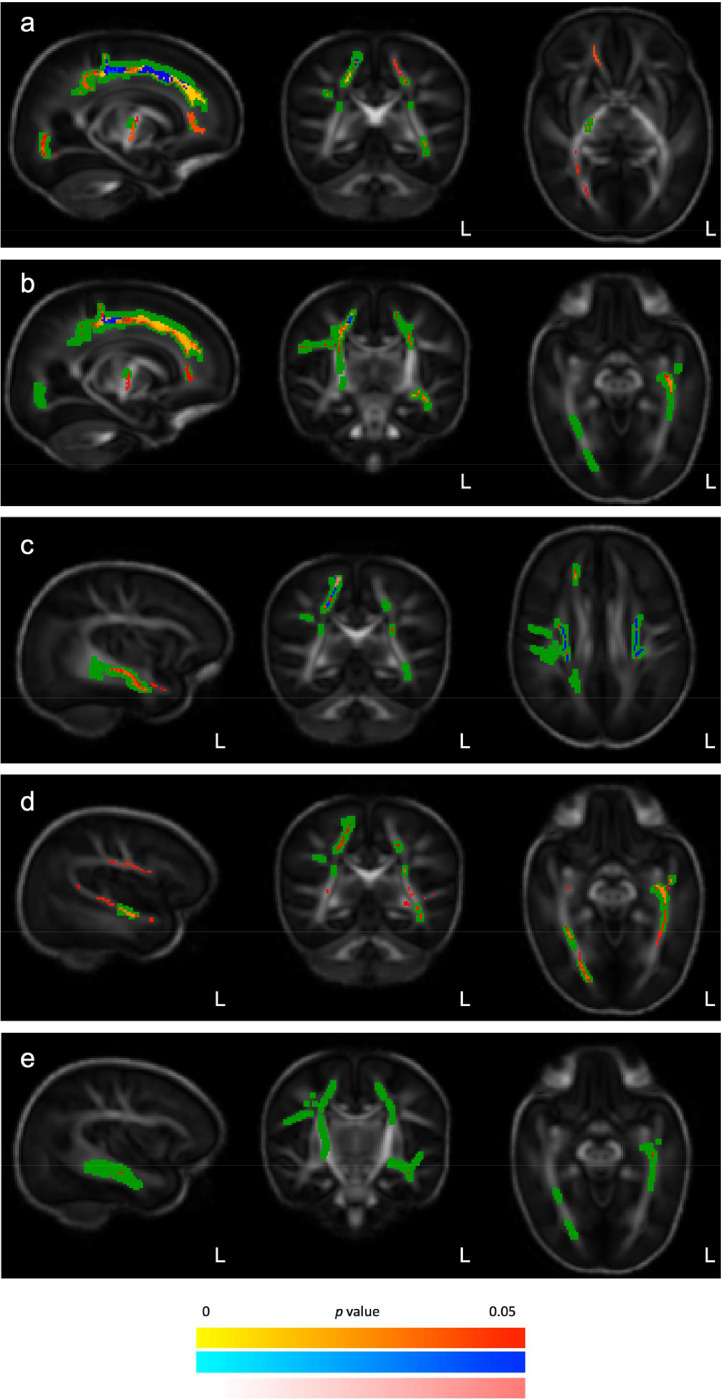 Fig. 3: