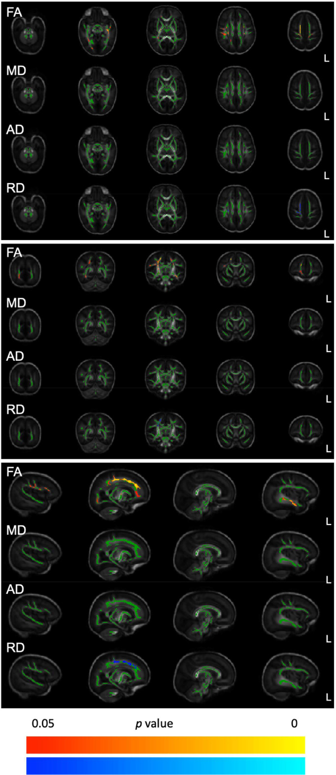 Fig. 2: