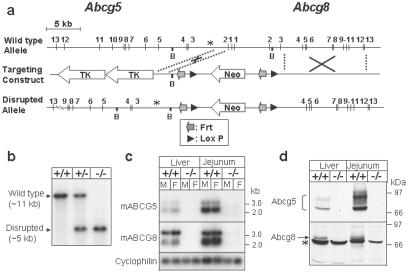 Fig 1.