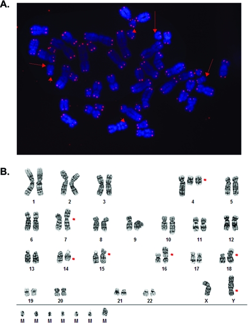 FIG. 10.