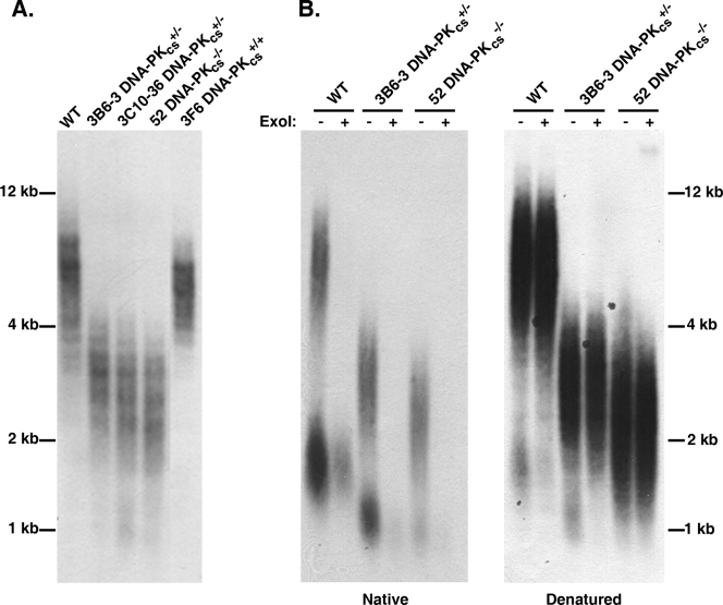 FIG. 9.