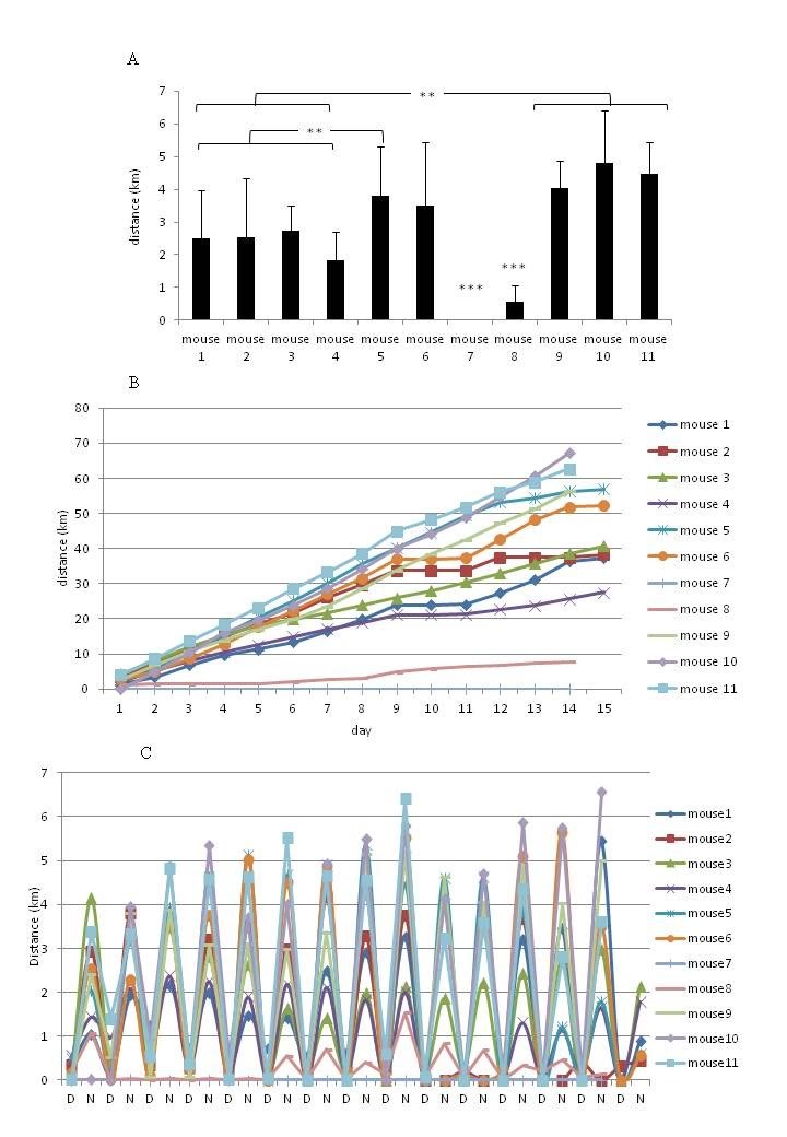 graphic file with name figure-1.jpg