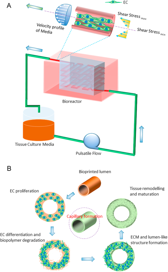 Fig. 10