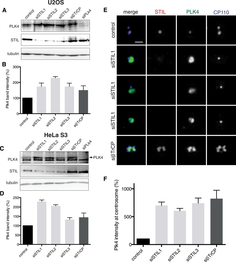 Figure 1—figure supplement 1.