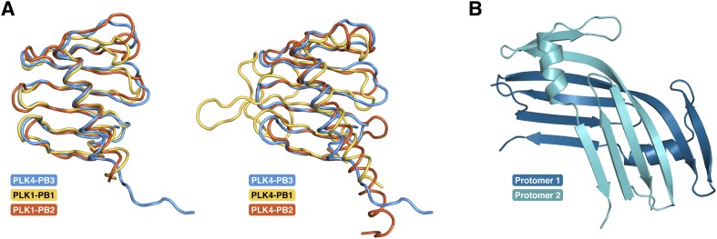 Figure 5—figure supplement 4.