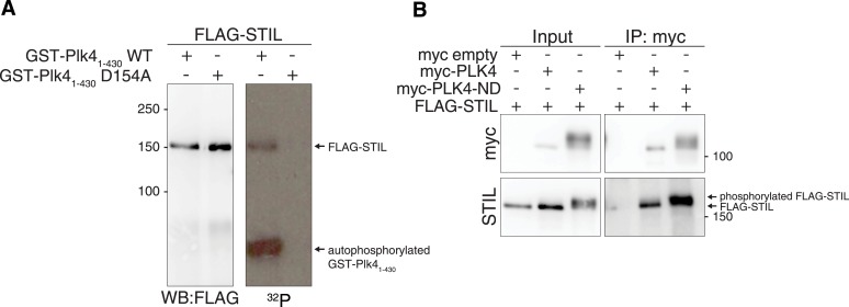 Figure 1—figure supplement 2.