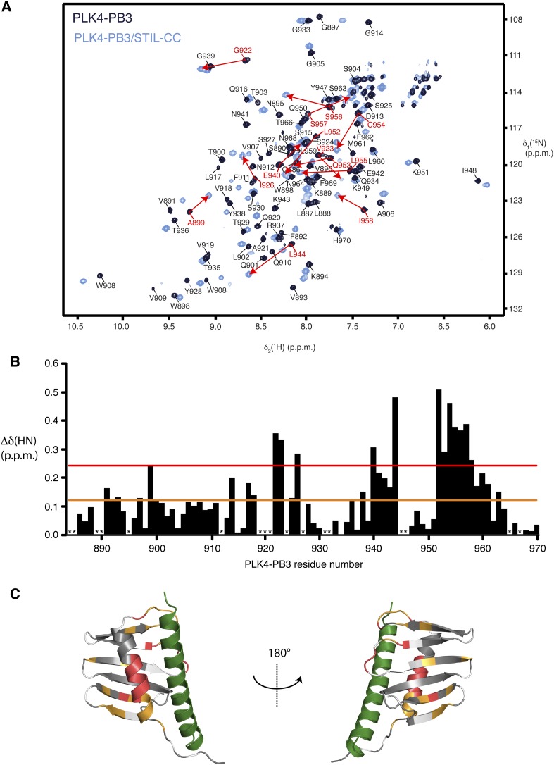 Figure 5—figure supplement 1.