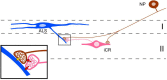 Fig 12