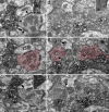 Fig 10