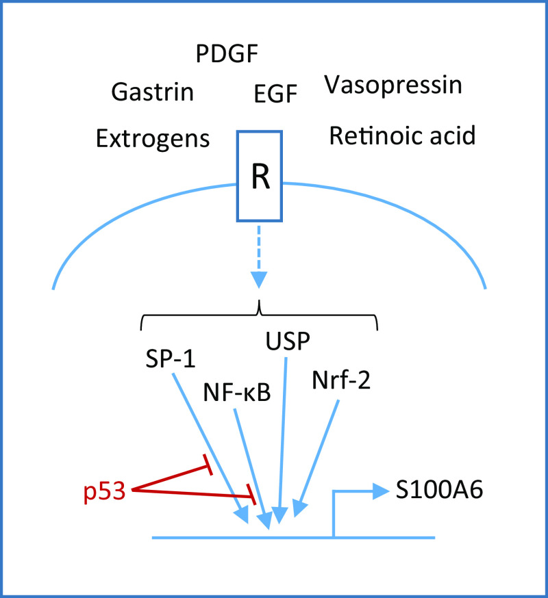 Fig. 1