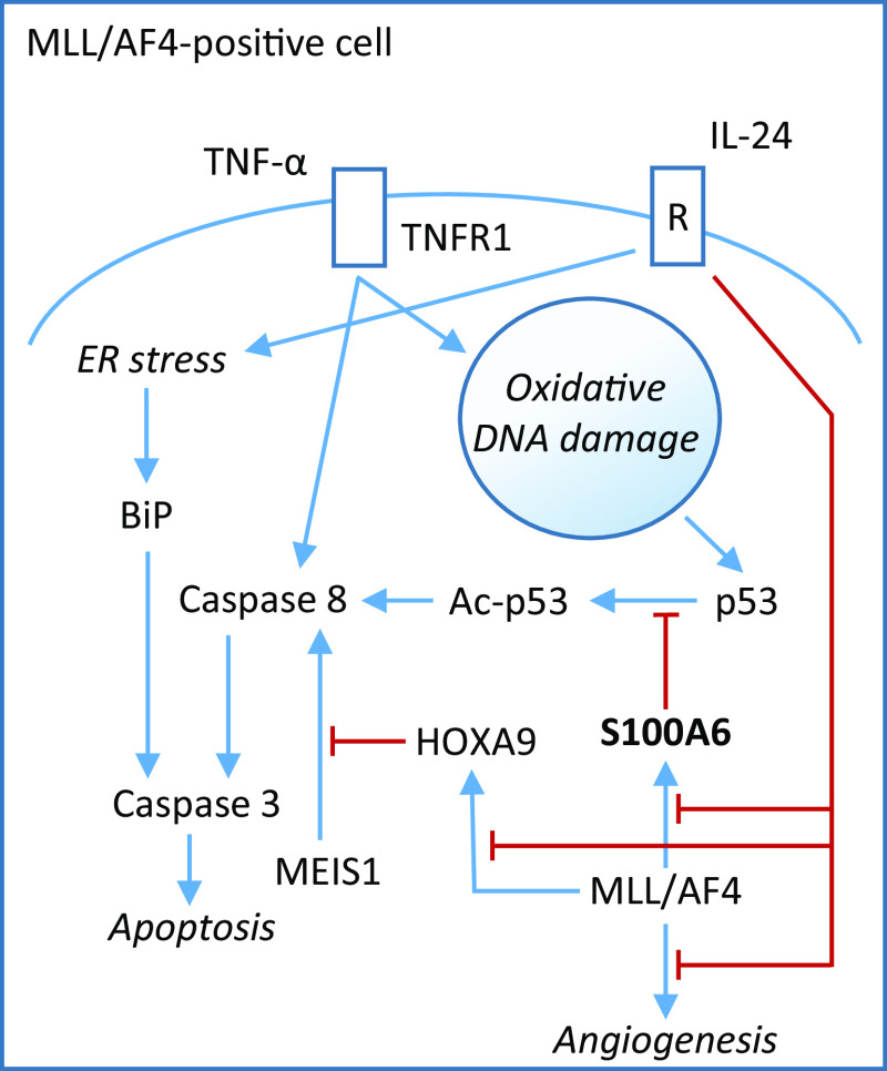 Fig. 4