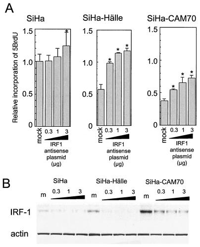 FIG. 8.