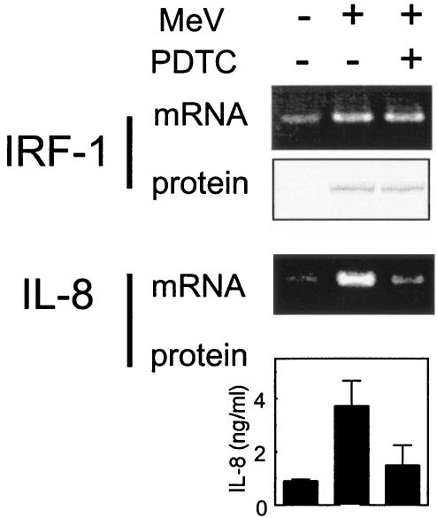 FIG. 9.