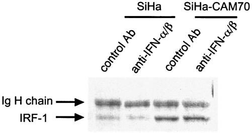 FIG. 6.