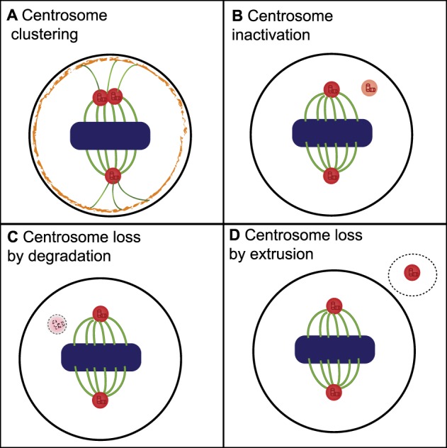 Figure 1.