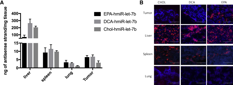 Figure 6