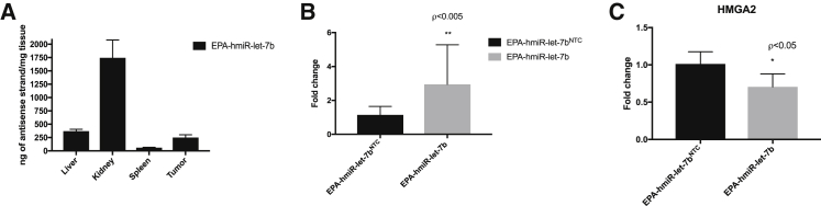 Figure 7