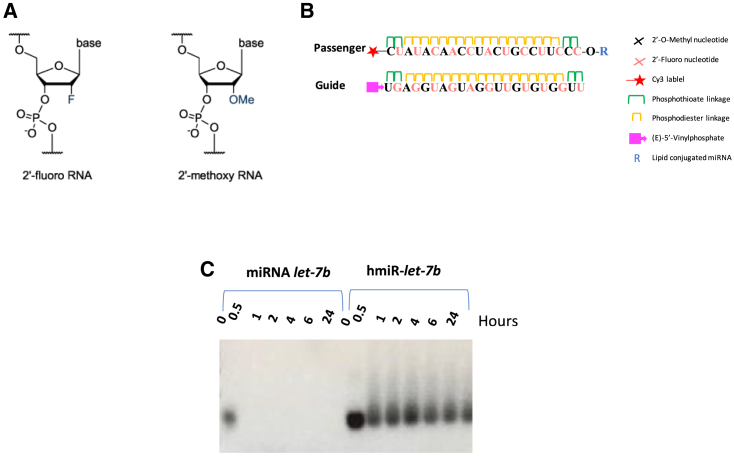 Figure 1